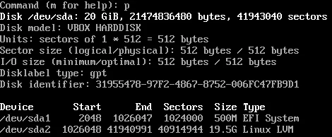 Using fdisk showing the proposed partition layout